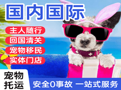 甘南夏河机场邮寄国际宠物托运 【国